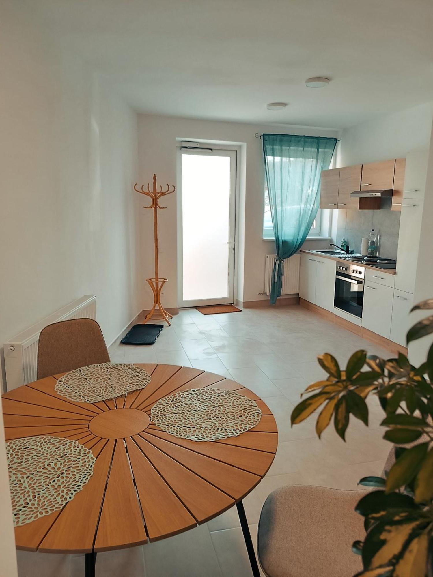 Family Apartments Tauchen Mönichkirchen エクステリア 写真