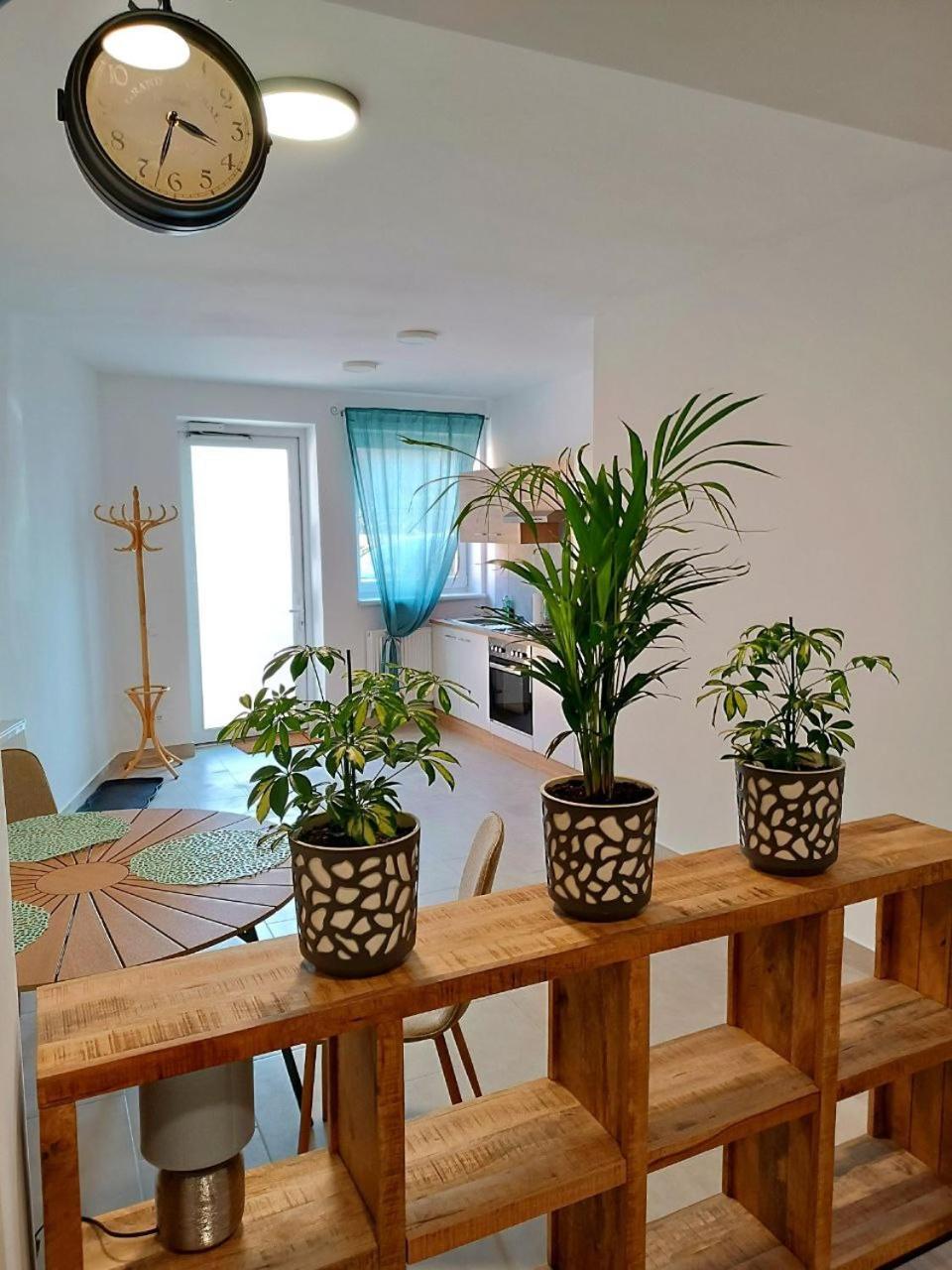 Family Apartments Tauchen Mönichkirchen エクステリア 写真