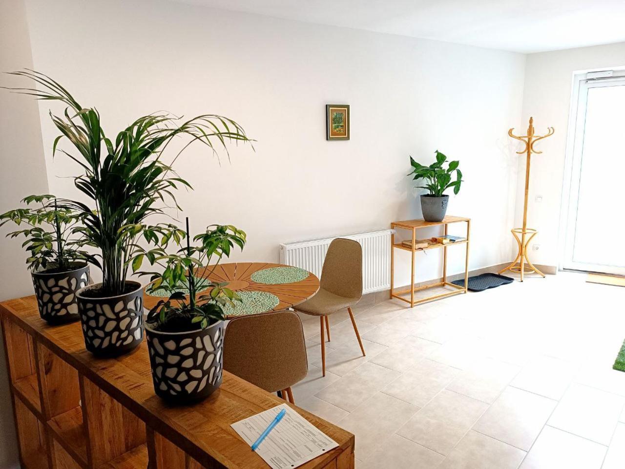 Family Apartments Tauchen Mönichkirchen エクステリア 写真