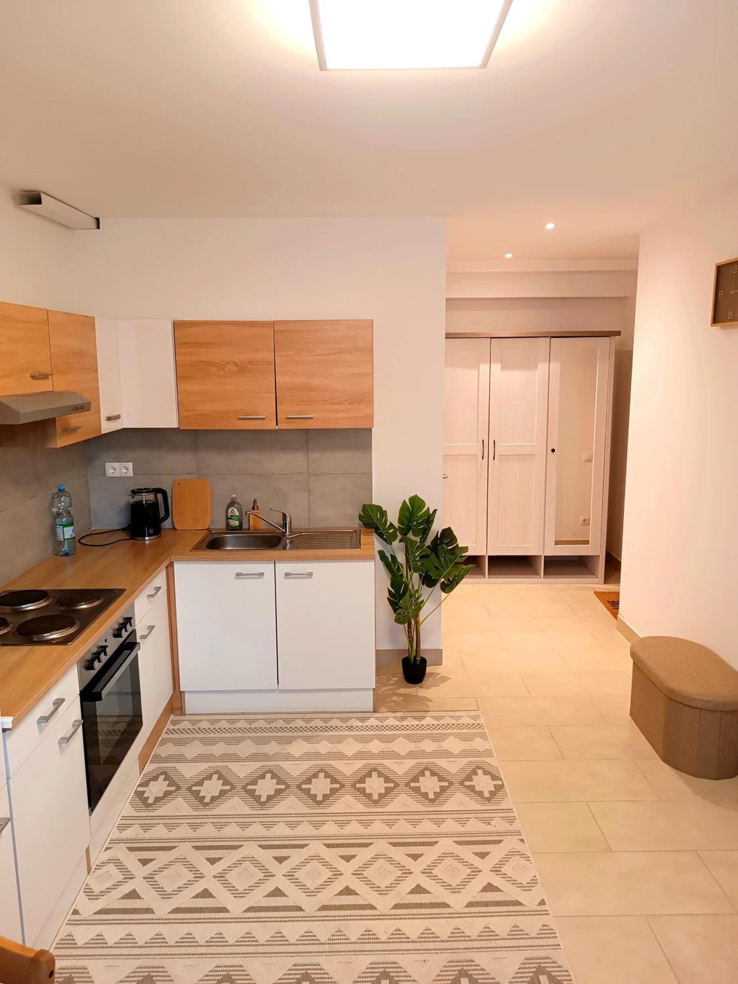 Family Apartments Tauchen Mönichkirchen エクステリア 写真